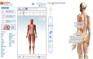 Всім, кому цікаво вивчати анатомію, думаю недаремними будуть два грунтовно розроблених проекту, які ефективно використовують такі важливі інструменти, як тривимірна графіка і інтерактивність
