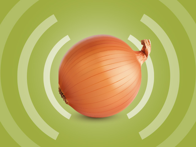 Tor (від абревіатури The Onion Router, буквально «цибульний маршрутизатор»), популярна технологія «тіньового Інтернету», відома досить давно